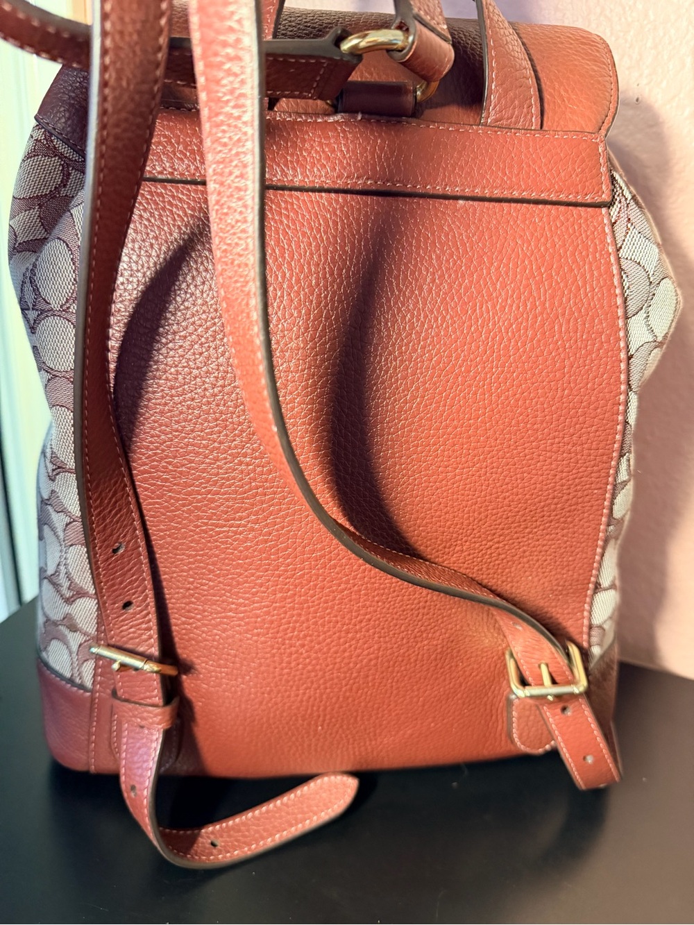 Coach Dempsey Drawstring Backpack - Picture 4 of 16